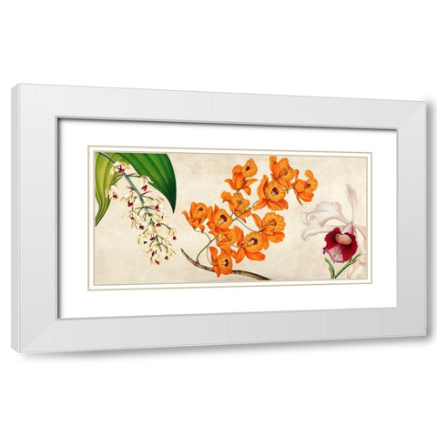Panneau Botanique II White Modern Wood Framed Art Print with Double Matting by Dellal, Remy
