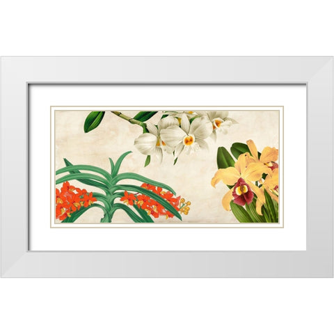 Panneau Botanique III White Modern Wood Framed Art Print with Double Matting by Dellal, Remy