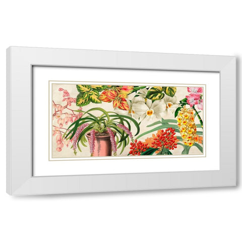 Panneau Botanique IV White Modern Wood Framed Art Print with Double Matting by Dellal, Remy