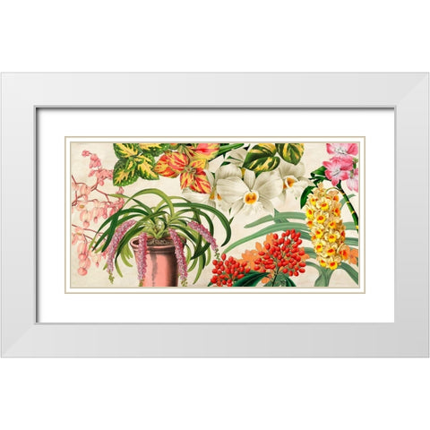 Panneau Botanique IV White Modern Wood Framed Art Print with Double Matting by Dellal, Remy