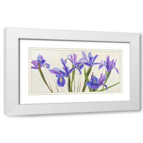 Iris White Modern Wood Framed Art Print with Double Matting by Dolci, Elena