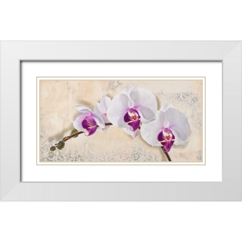 Royal Orchid White Modern Wood Framed Art Print with Double Matting by Dolci, Elena