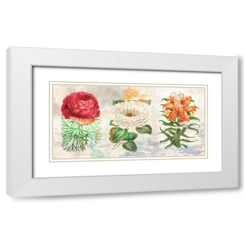 Hortus Botanicus 2.0 White Modern Wood Framed Art Print with Double Matting by Chestier, Eric
