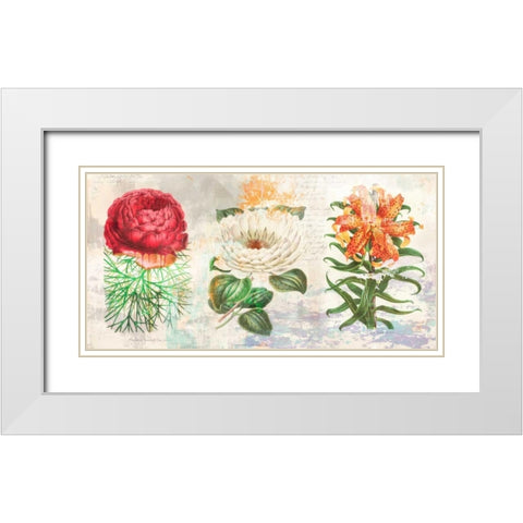 Hortus Botanicus 2.0 White Modern Wood Framed Art Print with Double Matting by Chestier, Eric