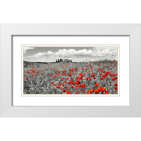 Farm house with cypresses and poppies, Tuscany, Italy White Modern Wood Framed Art Print with Double Matting by Krahmer, Frank