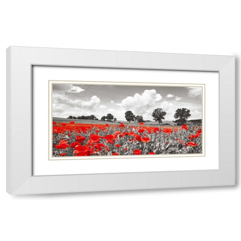 Poppies and vicias in meadow, Mecklenburg Lake District, Germany White Modern Wood Framed Art Print with Double Matting by Krahmer, Frank