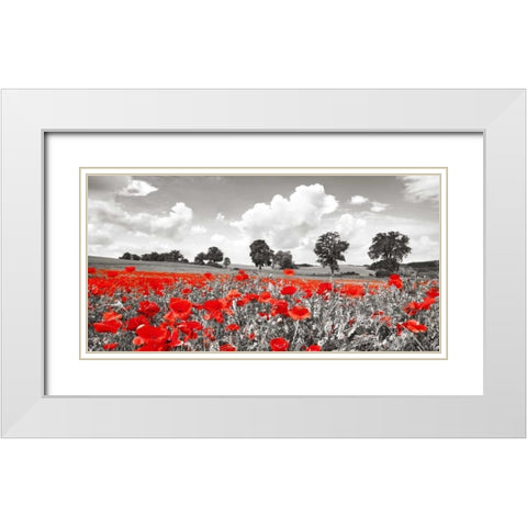 Poppies and vicias in meadow, Mecklenburg Lake District, Germany White Modern Wood Framed Art Print with Double Matting by Krahmer, Frank