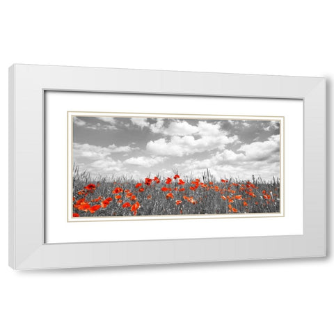 Poppies in corn field, Bavaria, Germany White Modern Wood Framed Art Print with Double Matting by Krahmer, Frank