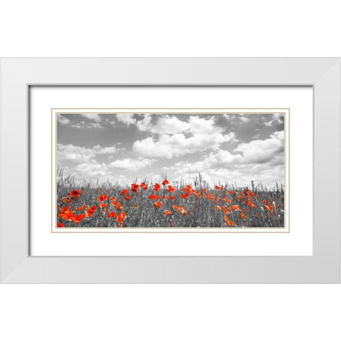 Poppies in corn field, Bavaria, Germany White Modern Wood Framed Art Print with Double Matting by Krahmer, Frank