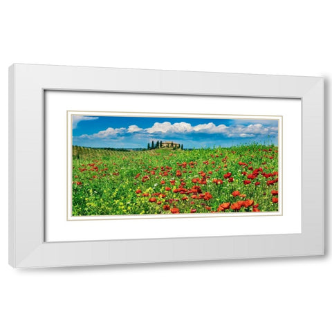 Farm house with cypresses and poppies, Tuscany, Italy White Modern Wood Framed Art Print with Double Matting by Krahmer, Frank