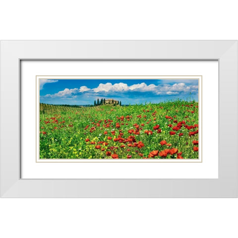 Farm house with cypresses and poppies, Tuscany, Italy White Modern Wood Framed Art Print with Double Matting by Krahmer, Frank