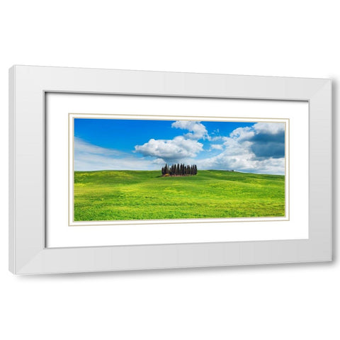 Cypresses- Val dOrcia- Tuscany (detail) White Modern Wood Framed Art Print with Double Matting by Krahmer, Frank