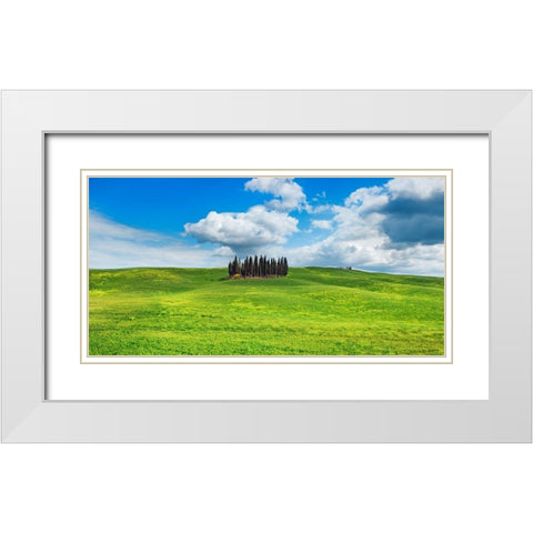 Cypresses- Val dOrcia- Tuscany (detail) White Modern Wood Framed Art Print with Double Matting by Krahmer, Frank