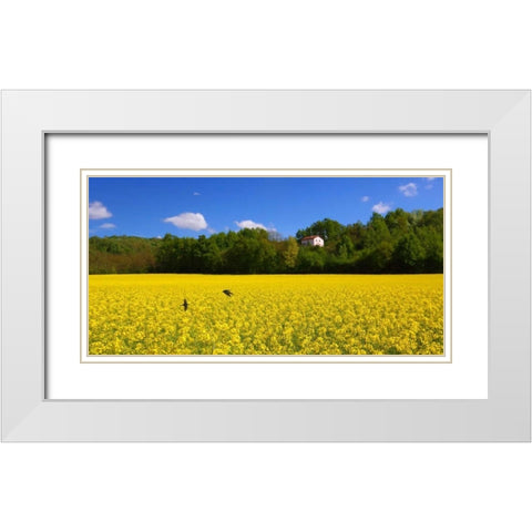 Volo di rondini White Modern Wood Framed Art Print with Double Matting by Ferrua, Fulvio