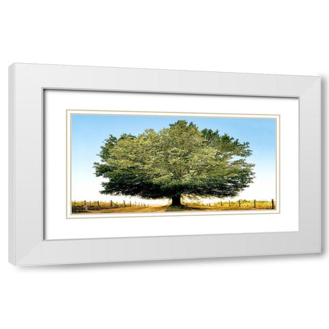 Un secolo di tramonti White Modern Wood Framed Art Print with Double Matting by Fulvio, Ferrua