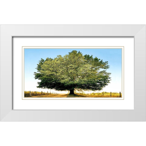 Un secolo di tramonti White Modern Wood Framed Art Print with Double Matting by Fulvio, Ferrua