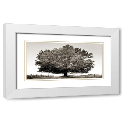 Un secolo di tramonti (BW) White Modern Wood Framed Art Print with Double Matting by Fulvio, Ferrua