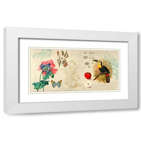 Cabinet of Curiosities II White Modern Wood Framed Art Print with Double Matting by Joannoo