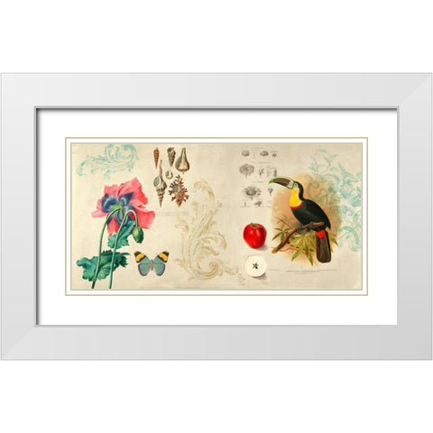 Cabinet of Curiosities II White Modern Wood Framed Art Print with Double Matting by Joannoo