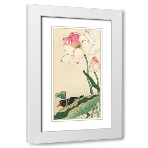 Lotus Flowers White Modern Wood Framed Art Print with Double Matting by Koson, Ohara