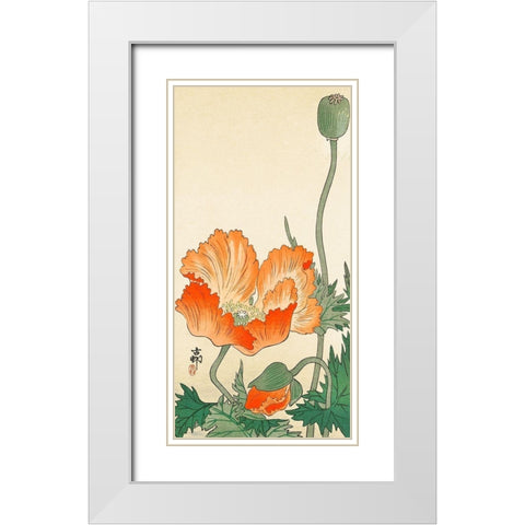 Poppies White Modern Wood Framed Art Print with Double Matting by Koson, Ohara