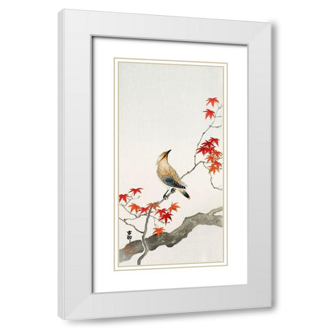 Japanese Jay on Maple White Modern Wood Framed Art Print with Double Matting by Anonymous