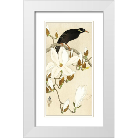 Myna on Magnolia Branch White Modern Wood Framed Art Print with Double Matting by Koson, Ohara