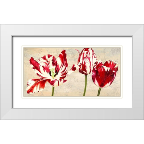 Tulipes Royales White Modern Wood Framed Art Print with Double Matting by Villa, Luca