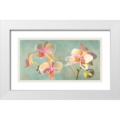 Jewel Orchids White Modern Wood Framed Art Print with Double Matting by Villa, Luca