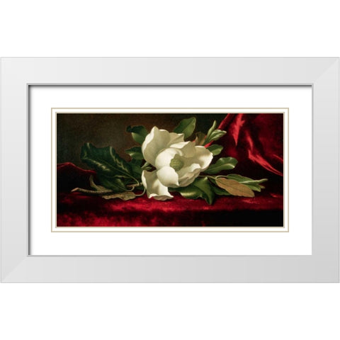 Magnolia White Modern Wood Framed Art Print with Double Matting by Heade, Martin Johnson