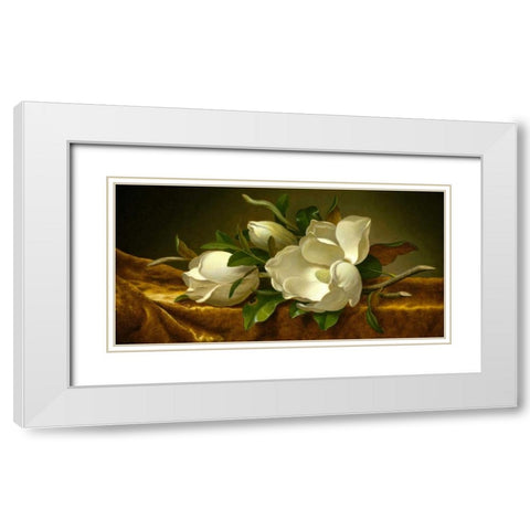 Magnolias on Gold Velvet Cloth White Modern Wood Framed Art Print with Double Matting by Heade, Martin Johnson