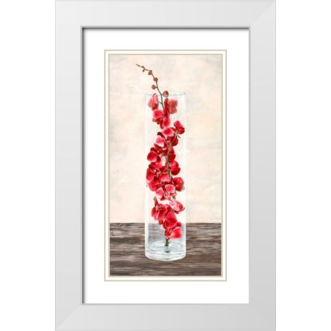 Arrangement of orchids White Modern Wood Framed Art Print with Double Matting by Mills, Shin