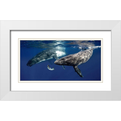 La Fille de la Mer (couleur) White Modern Wood Framed Art Print with Double Matting by Moreau, Marc