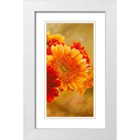 Gerbere nel sole III White Modern Wood Framed Art Print with Double Matting by Biffi, Serena