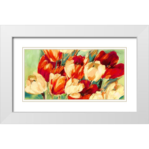 Red And White Tulips White Modern Wood Framed Art Print with Double Matting by Stone, Jim