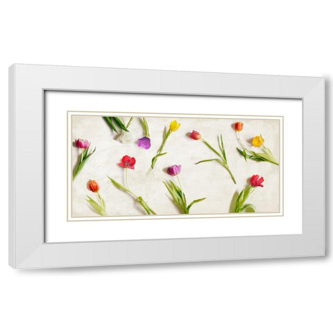 Cut Tulips White Modern Wood Framed Art Print with Double Matting by Rizzardi, Teo