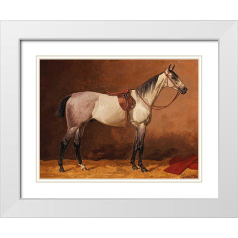 Saddled sport horse White Modern Wood Framed Art Print with Double Matting by Volkers, Emil
