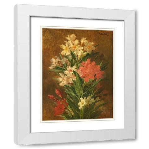 Rot und weiss bluhender Oleander White Modern Wood Framed Art Print with Double Matting by Chabal-Dussergey, Pierre Adrien
