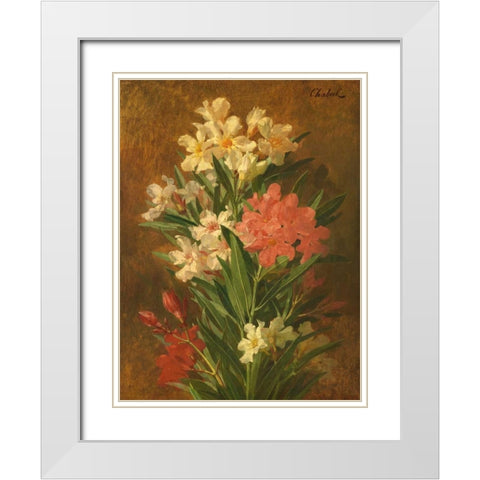 Rot und weiss bluhender Oleander White Modern Wood Framed Art Print with Double Matting by Chabal-Dussergey, Pierre Adrien