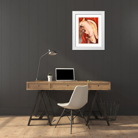 Great Sulphur-Crested Cockatoo White Modern Wood Framed Art Print with Double Matting by James Whitley, Sayer