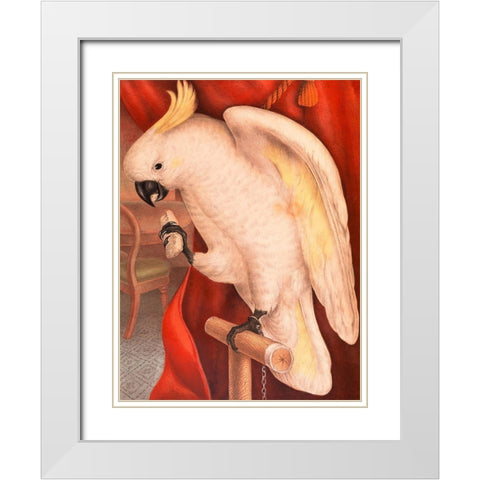 Great Sulphur-Crested Cockatoo White Modern Wood Framed Art Print with Double Matting by James Whitley, Sayer