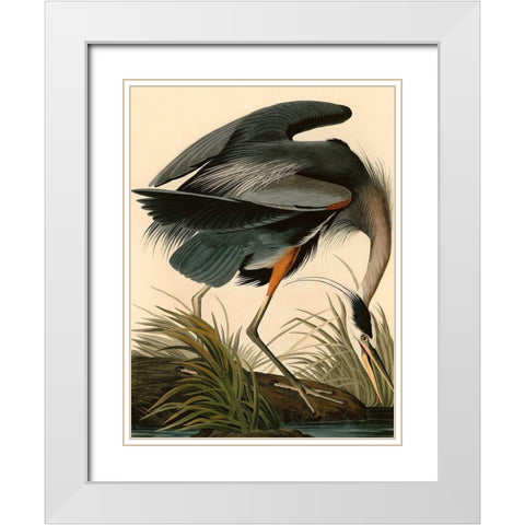 Great Blue Heron White Modern Wood Framed Art Print with Double Matting by John James, Audubon