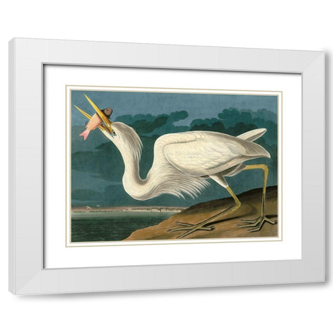 Great White Heron White Modern Wood Framed Art Print with Double Matting by John James, Audubon