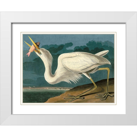 Great White Heron White Modern Wood Framed Art Print with Double Matting by John James, Audubon