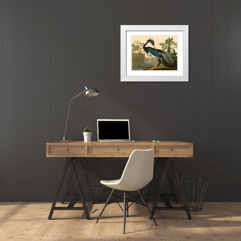 Louisiana Heron White Modern Wood Framed Art Print with Double Matting by John James, Audubon