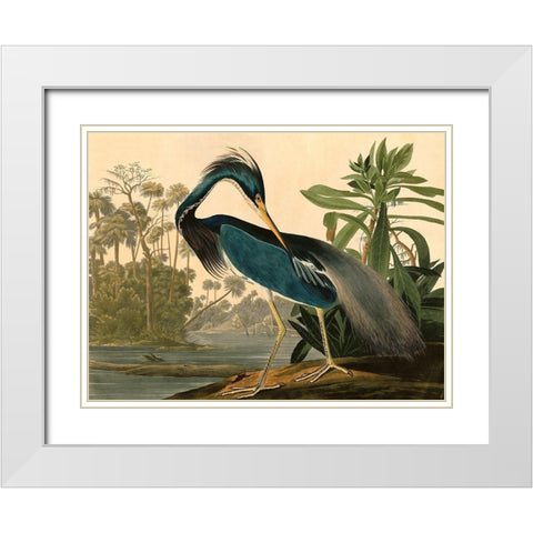 Louisiana Heron White Modern Wood Framed Art Print with Double Matting by John James, Audubon