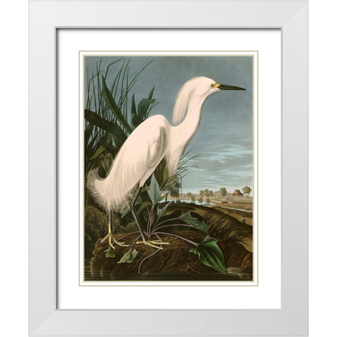 Snowy Heron or White Egret White Modern Wood Framed Art Print with Double Matting by John James, Audubon