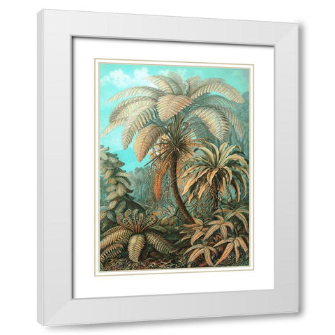 Filicinae White Modern Wood Framed Art Print with Double Matting by Haeckel, Ernst