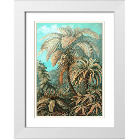 Filicinae White Modern Wood Framed Art Print with Double Matting by Haeckel, Ernst