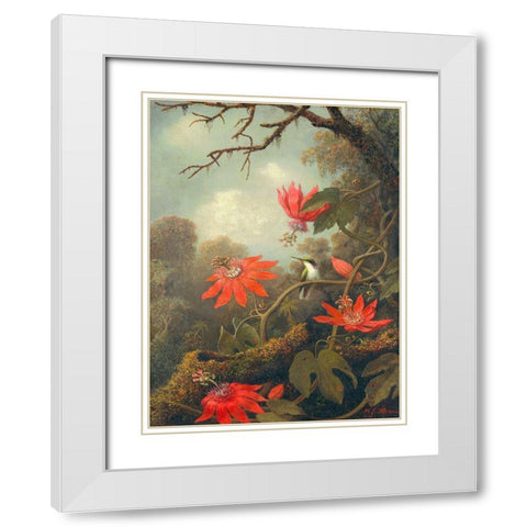 Hummingbird and Passionflowers White Modern Wood Framed Art Print with Double Matting by Heade, Martin Johnson
